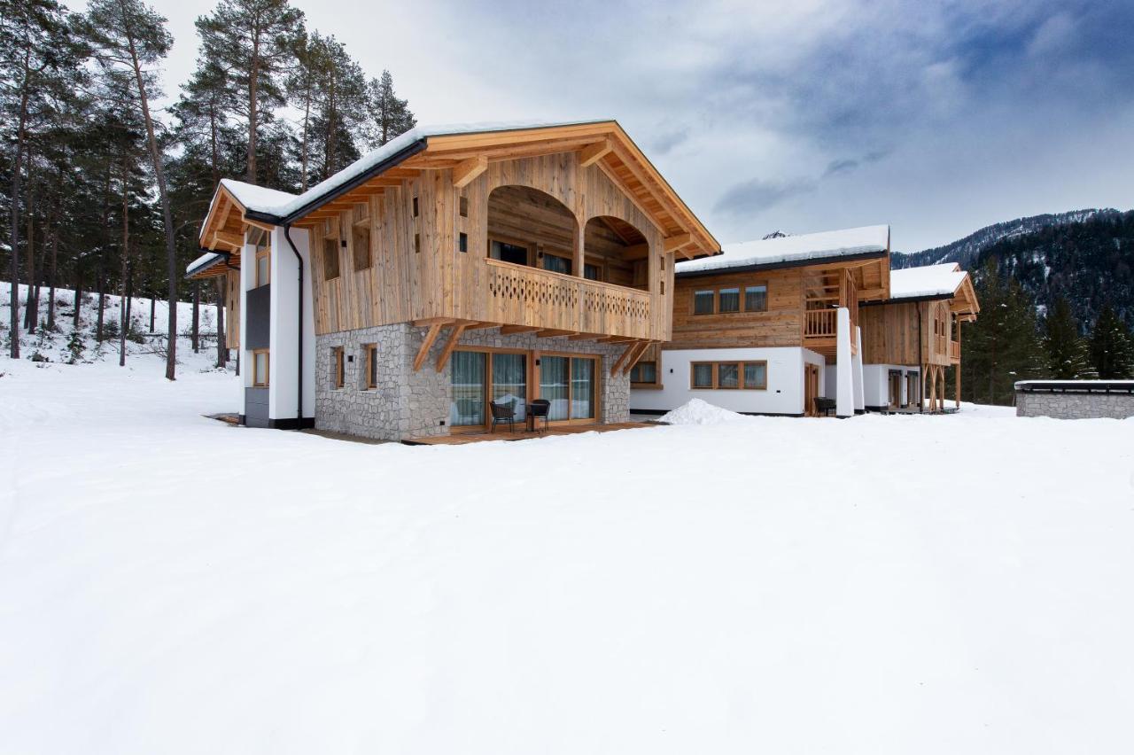 Les Ciases Chalets Dolomites Apt 3 圣维吉利奥 外观 照片
