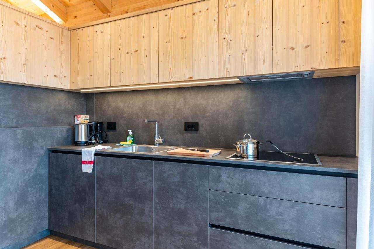 Les Ciases Chalets Dolomites Apt 3 圣维吉利奥 外观 照片